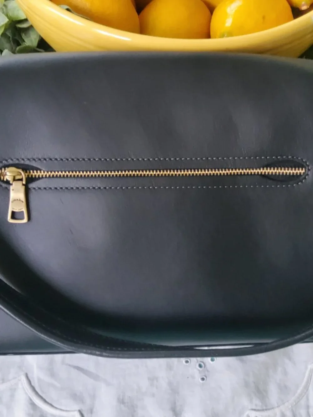 Coach this bag